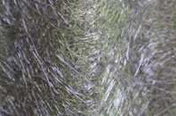 Maeshafn fibreglass roof work